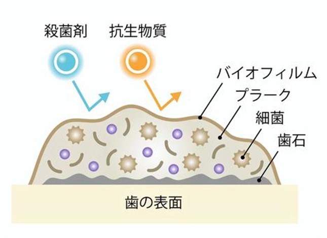 バイオフィルムとは