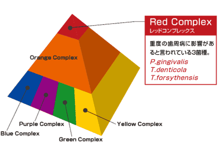 最も病原性があるとされている菌